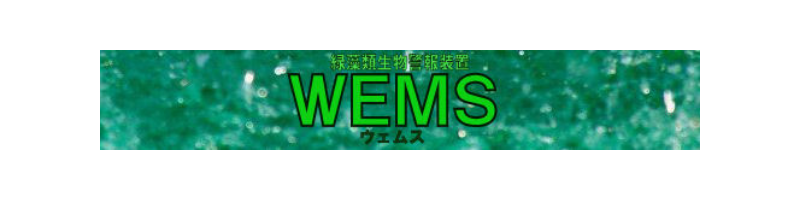 wems-ber.png